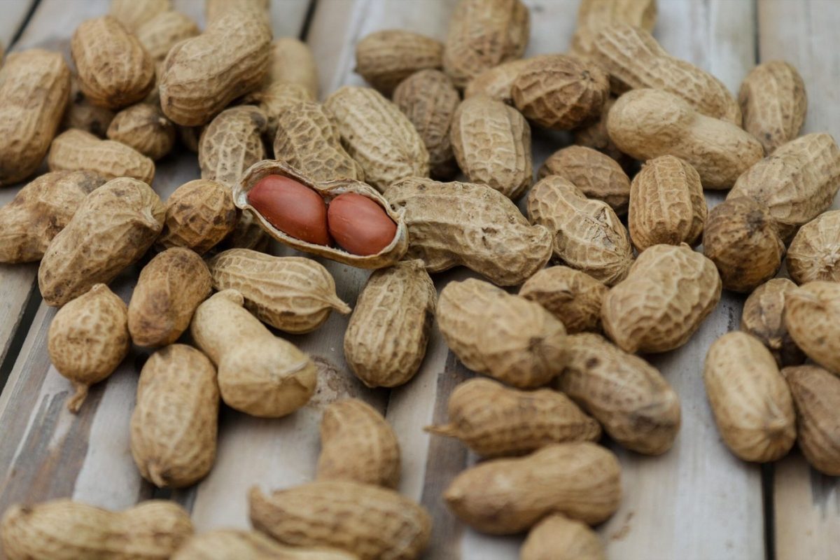 Quantité de protéines pour récupération : 1,2–2,0 g/kg/jour