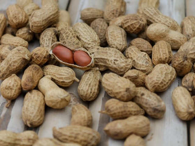 Quantité de protéines pour récupération : 1,2–2,0 g/kg/jour