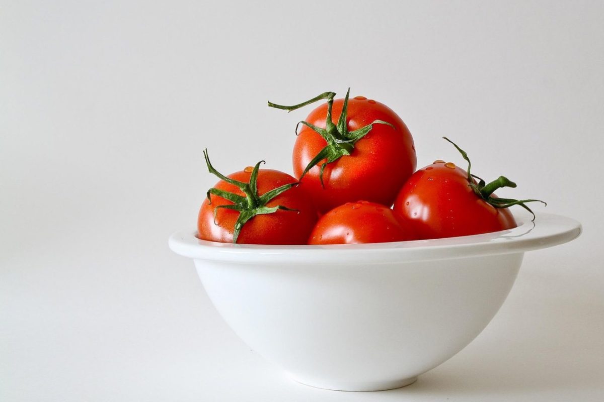 Plan de repas végan riche en protéines pour sportifs