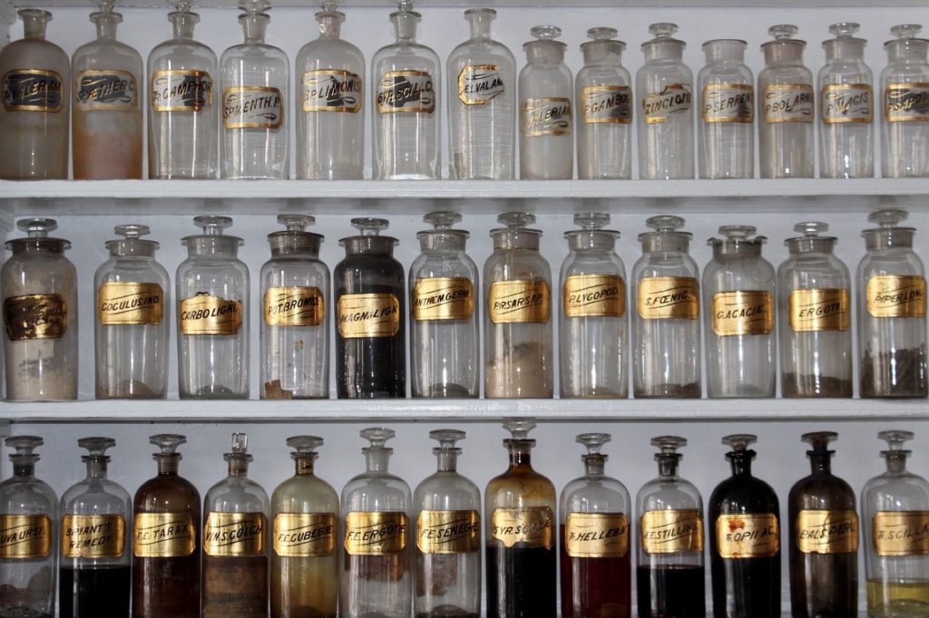 Whey ou protéines végétales pour la récupération