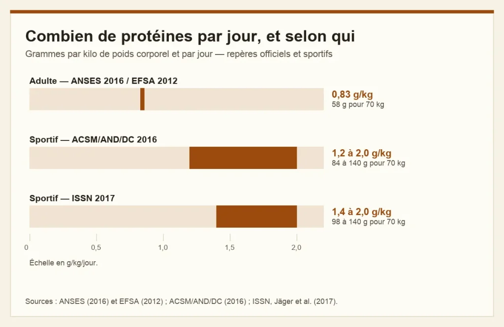 Graphique comparant les reperes d apport proteique : 0,83 g/kg/jour selon ANSES 2016 et EFSA 2012, 1,2 a 2,0 selon ACSM 2016, 1,4 a 2,0 selon ISSN 2017