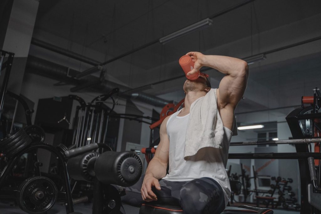 Comparatif des protéines végétales pour récupération musculaire