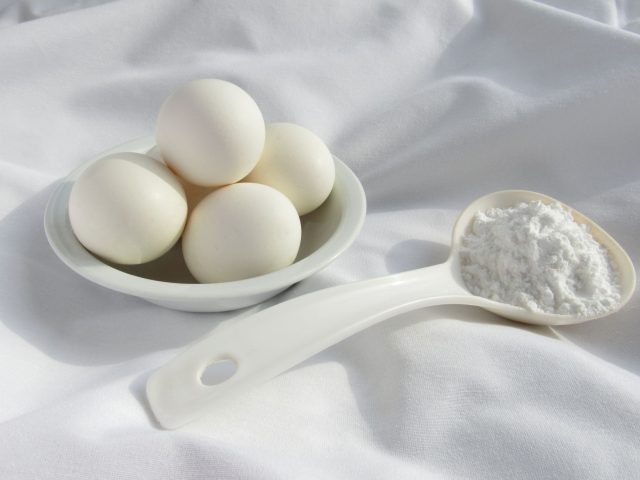 Protéines en poudre : mythe ou nécessité pour votre quotidien ?